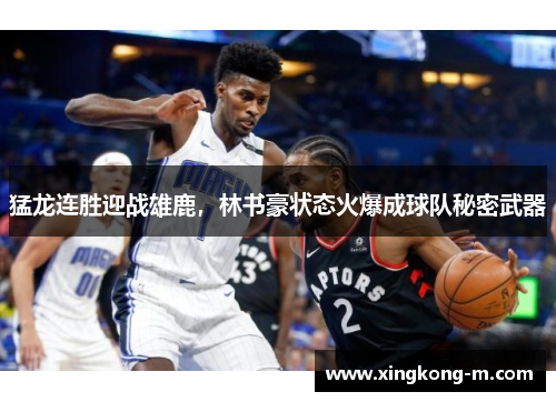 猛龙连胜迎战雄鹿，林书豪状态火爆成球队秘密武器